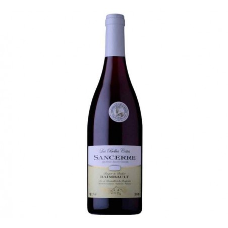 Saumur Champigny Bio Château de Villeneuve* BIO 2019 75 cl