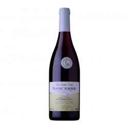 Saumur Champigny Bio Château de Villeneuve* BIO 2019 75 cl