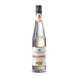 Saint Germain 70 cl