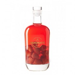 Punch au Rhum Arrangé Arhumatic Passion Gingembre 70 cl