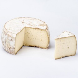 Tomme de Chartreuse