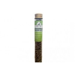 Vers de farine nature 13 g
