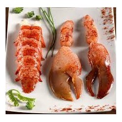Homard duo 1 queue 2 pinces