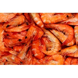 CREVETTES cuites 80/100