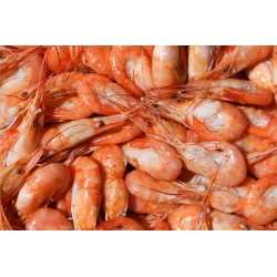 CREVETTES cuites sauvages bouquets (les 100gr