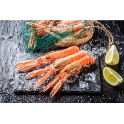 LANGOUSTINE DE FRANCE moyenne cuite par nos soins